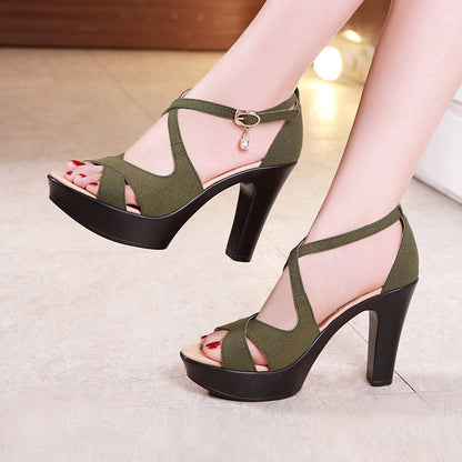 Solid Color Toe Fish Mouth Model Catwalk Shoes