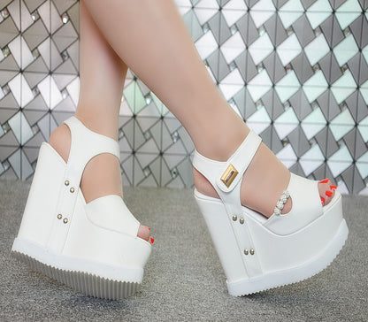 Platform Wedge Sandals