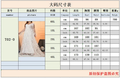 Elegant A-line Plus Size Women's Wedding Dress with Lace Appliqué Tulle Bridal Dress 2024