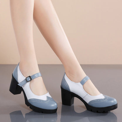 Vintage Mary Jane Casual Shoes Breathable Thick Heel Buckle