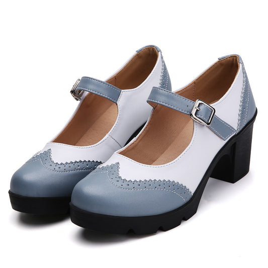 Vintage Mary Jane Casual Shoes Breathable Thick Heel Buckle